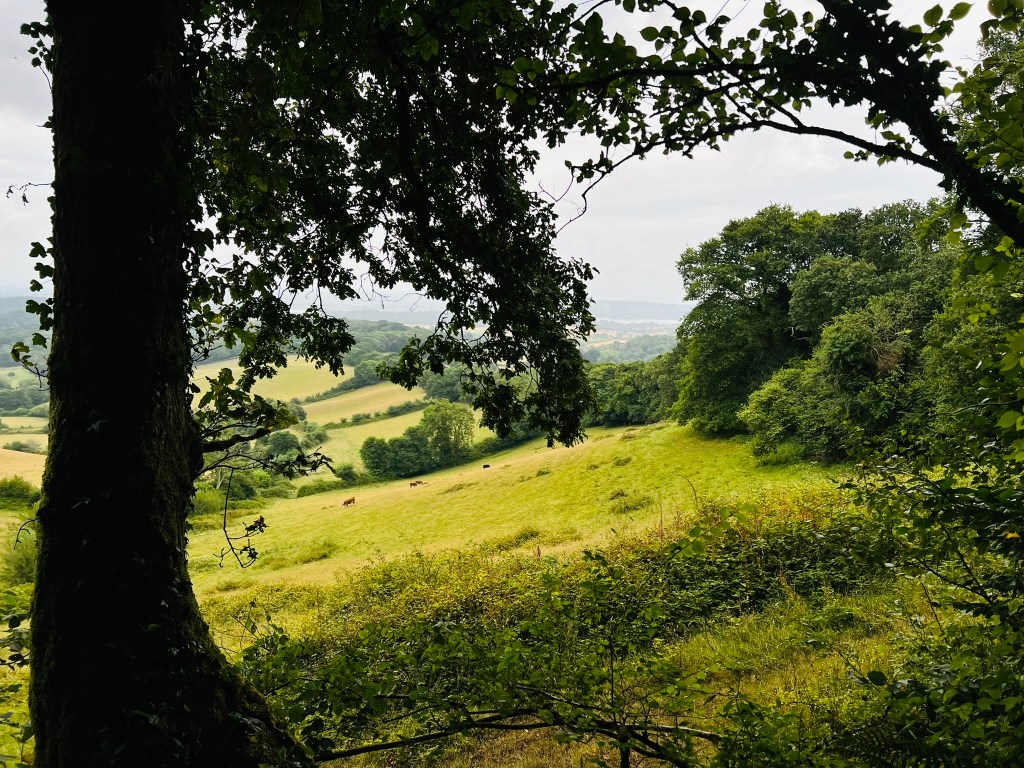 “Fiona was a wonderful support to&nbsp;us…..