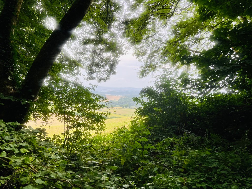 “….conducted herself in a warm and professional manner…”